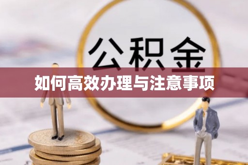 鄢陵如何高效办理与注意事项