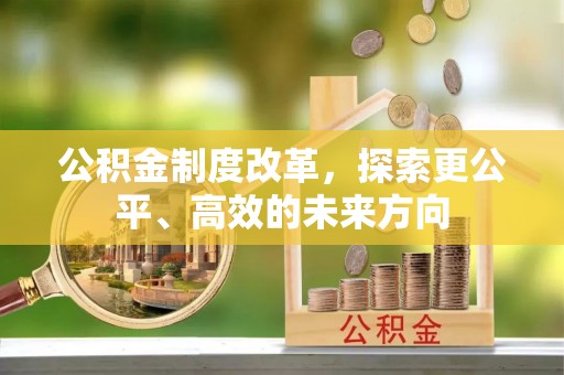 鄢陵公积金制度改革，探索更公平、高效的未来方向