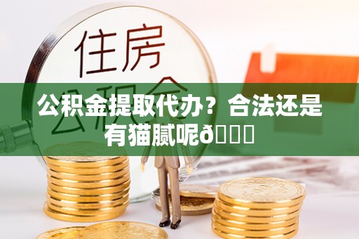 鄢陵公积金提取代办？合法还是有猫腻呢😏
