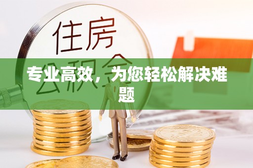 鄢陵专业高效，为您轻松解决难题