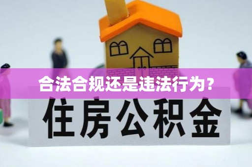 鄢陵合法合规还是违法行为？